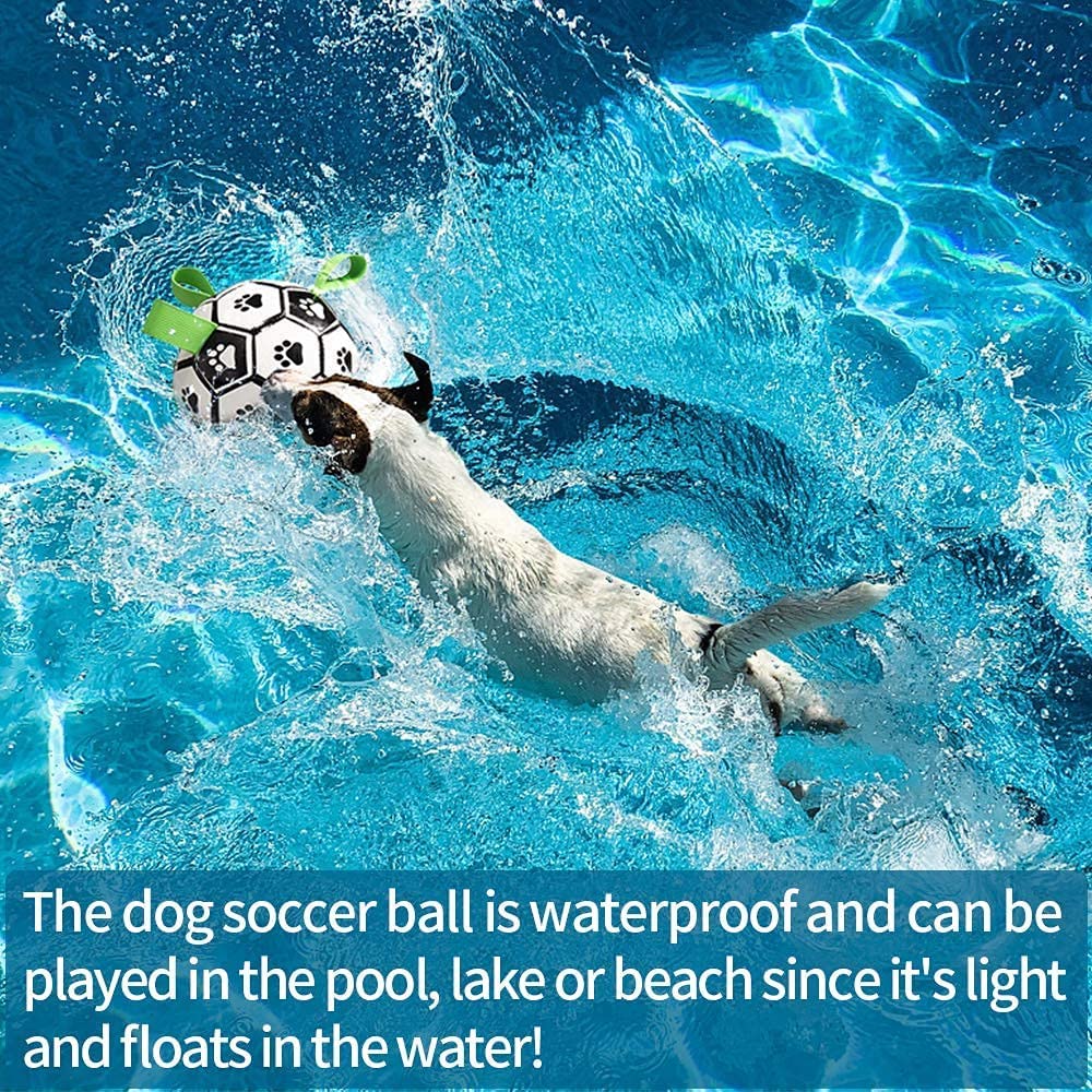 Interactive Toy Soccer