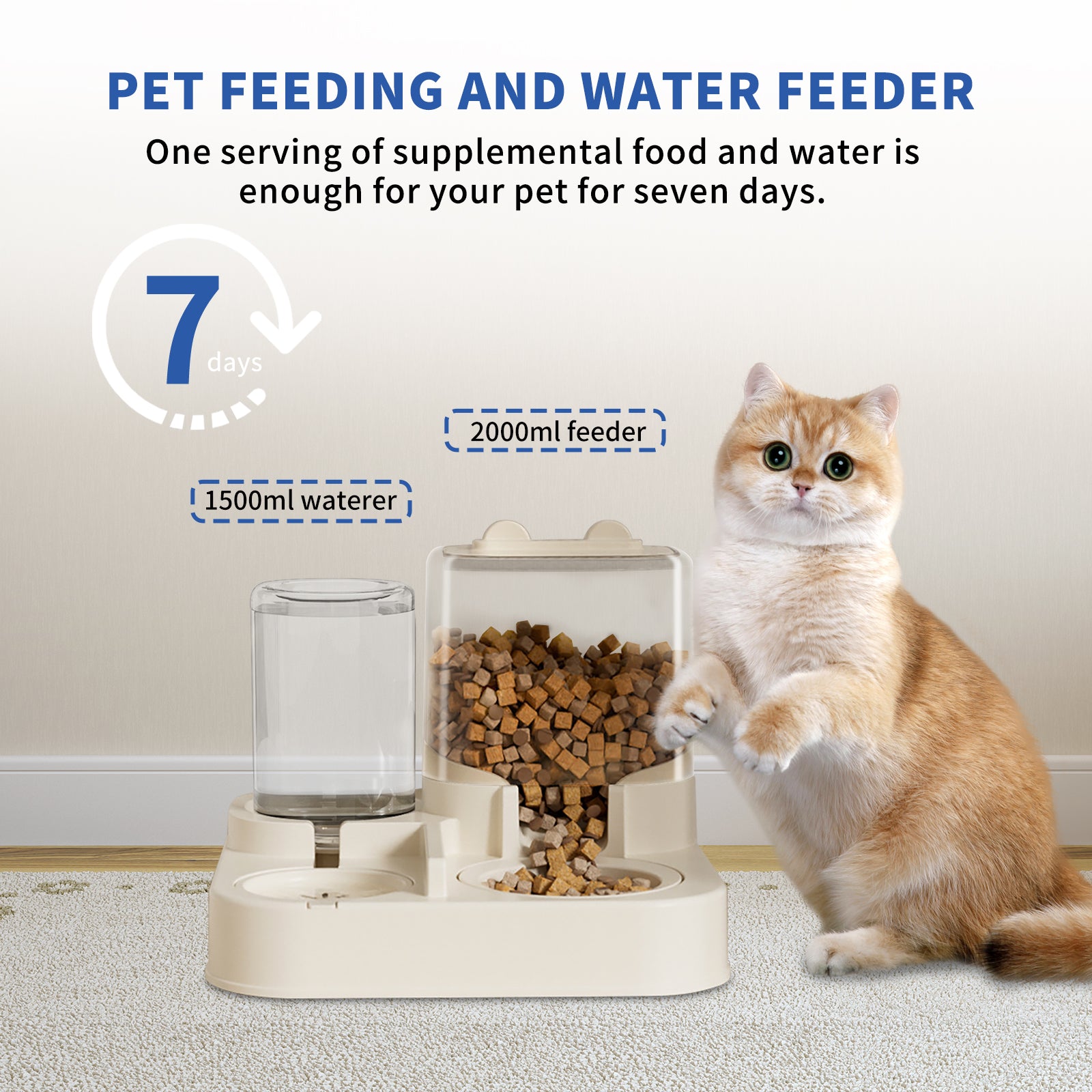Transparent And Visible Pet Feeding